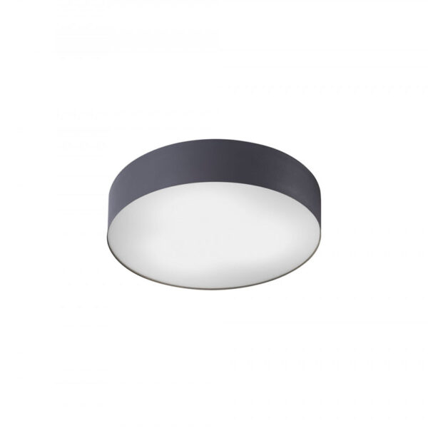Lubinis šviestuvas ARENA SENSOR 10181 - Lubiniai šviestuvai, Lubiniai šviestuvai, Vidaus šviestuvai