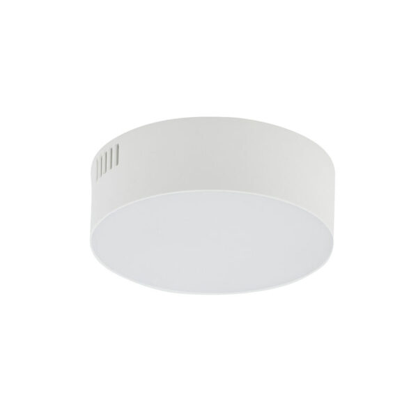 Lubinis šviestuvas LID ROUND LED 3000K 15W 10402 - Lubiniai šviestuvai, Lubiniai šviestuvai, Vidaus šviestuvai