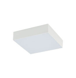 Lubinis šviestuvas LID SQUARE LED 3000K 25W 10421 - Lubiniai šviestuvai, Vidaus šviestuvai