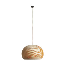 Pakabinamas šviestuvas NATURE LIGHT 1109G_XL - Pakabinami šviestuvai, Vidaus šviestuvai