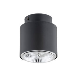 Lubinis šviestuvas NANO 1310/1 - Lubiniai šviestuvai, Vidaus šviestuvai