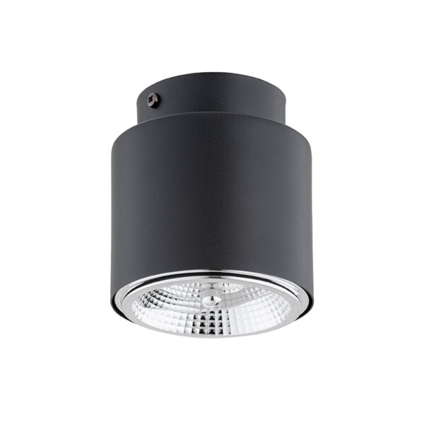 Lubinis šviestuvas NANO 1310/1 - Lubiniai šviestuvai, Vidaus šviestuvai