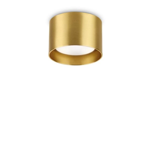 Lubinis šviestuvas SPIKE PL1 BRASS - Lubiniai šviestuvai, Lubiniai šviestuvai, Vidaus šviestuvai