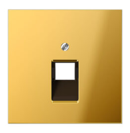 Kompiuterinis dangtelis be rėmelio GO2969-1UA gold - Elektros instaliacija, Potinkiniai kištukiniai lizdai ir jungikliai