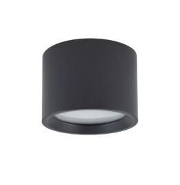Lubinis šviestuvas BOL BLACK 10484 - Vonios šviestuvai