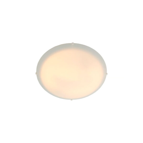 Lubinis šviestuvas STANDARD 2410256001 - Lubiniai šviestuvai